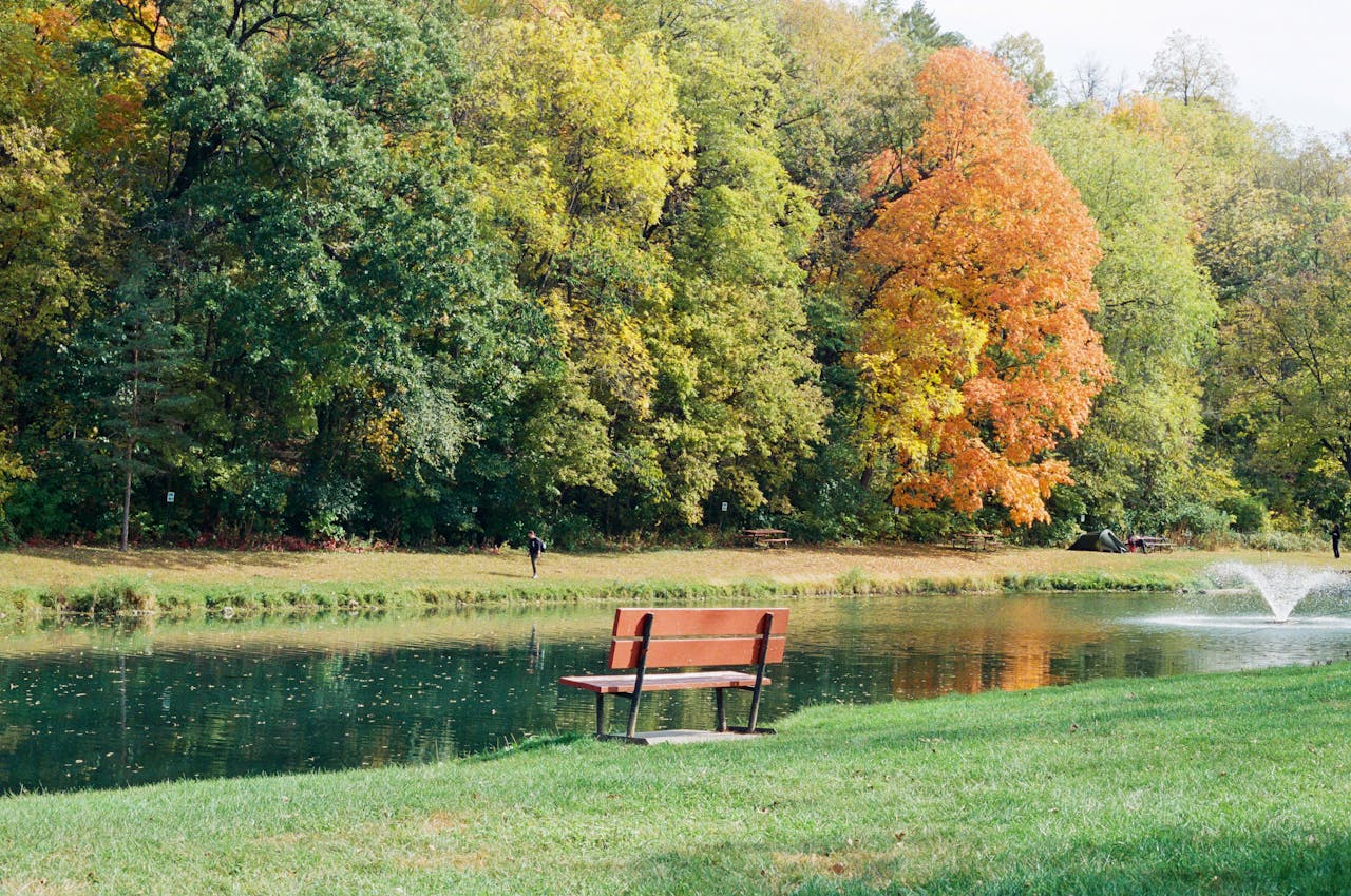 services-01 A peaceful park scene with autumn trees, a bench by the river, and a fountain.